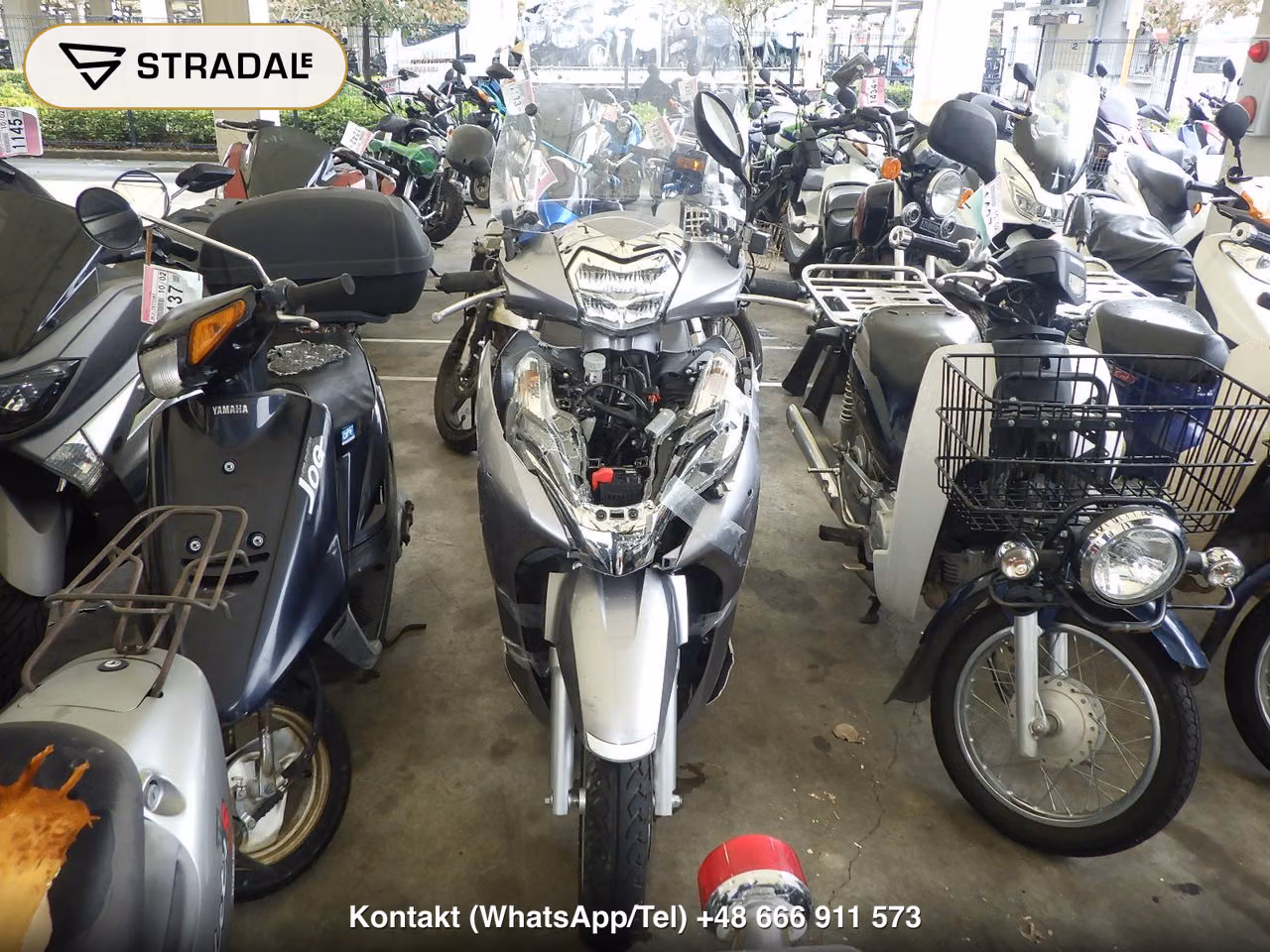 HONDA LEAD125, miniaturka 6