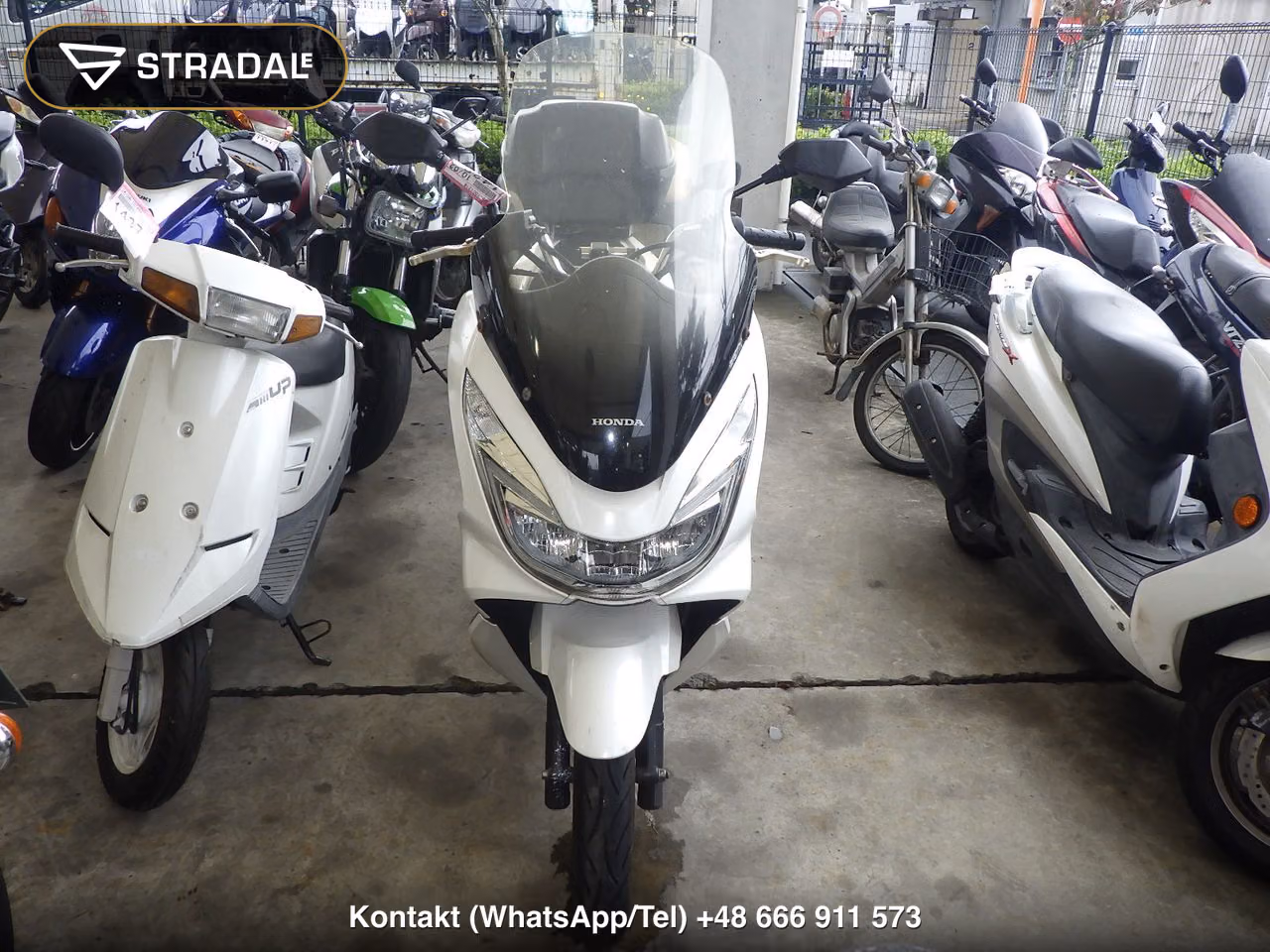 HONDA PCX150-2, miniaturka 6