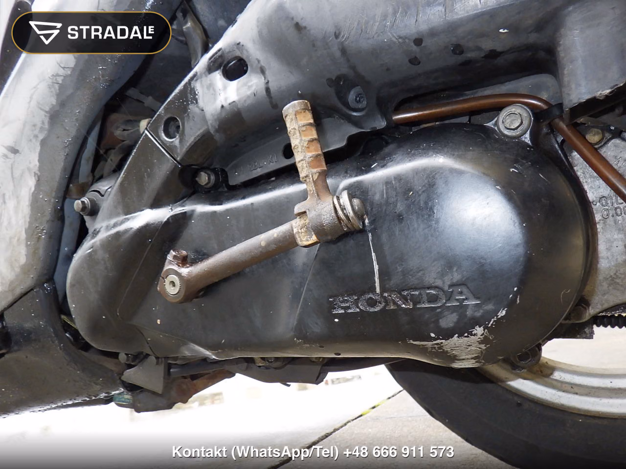 HONDA LIVE DIO, miniaturka 3