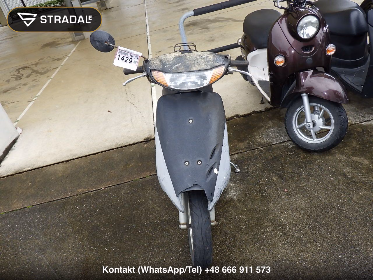 HONDA LIVE DIO, miniaturka 6