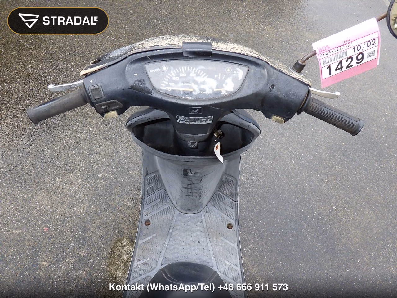 HONDA LIVE DIO, miniaturka 7