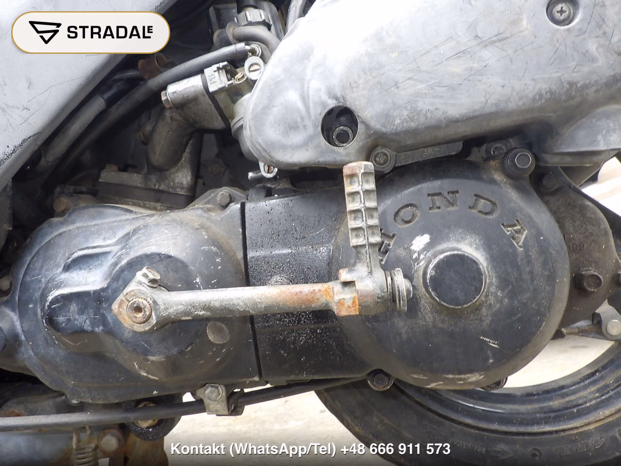 HONDA DIO ZX, miniaturka 3