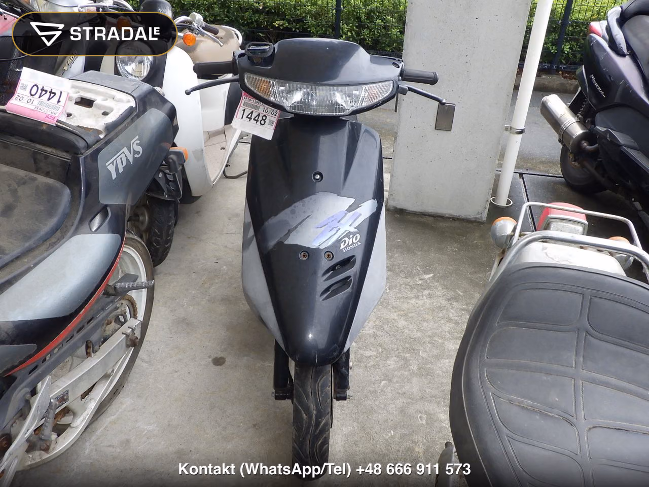 HONDA DIO ZX, miniaturka 6