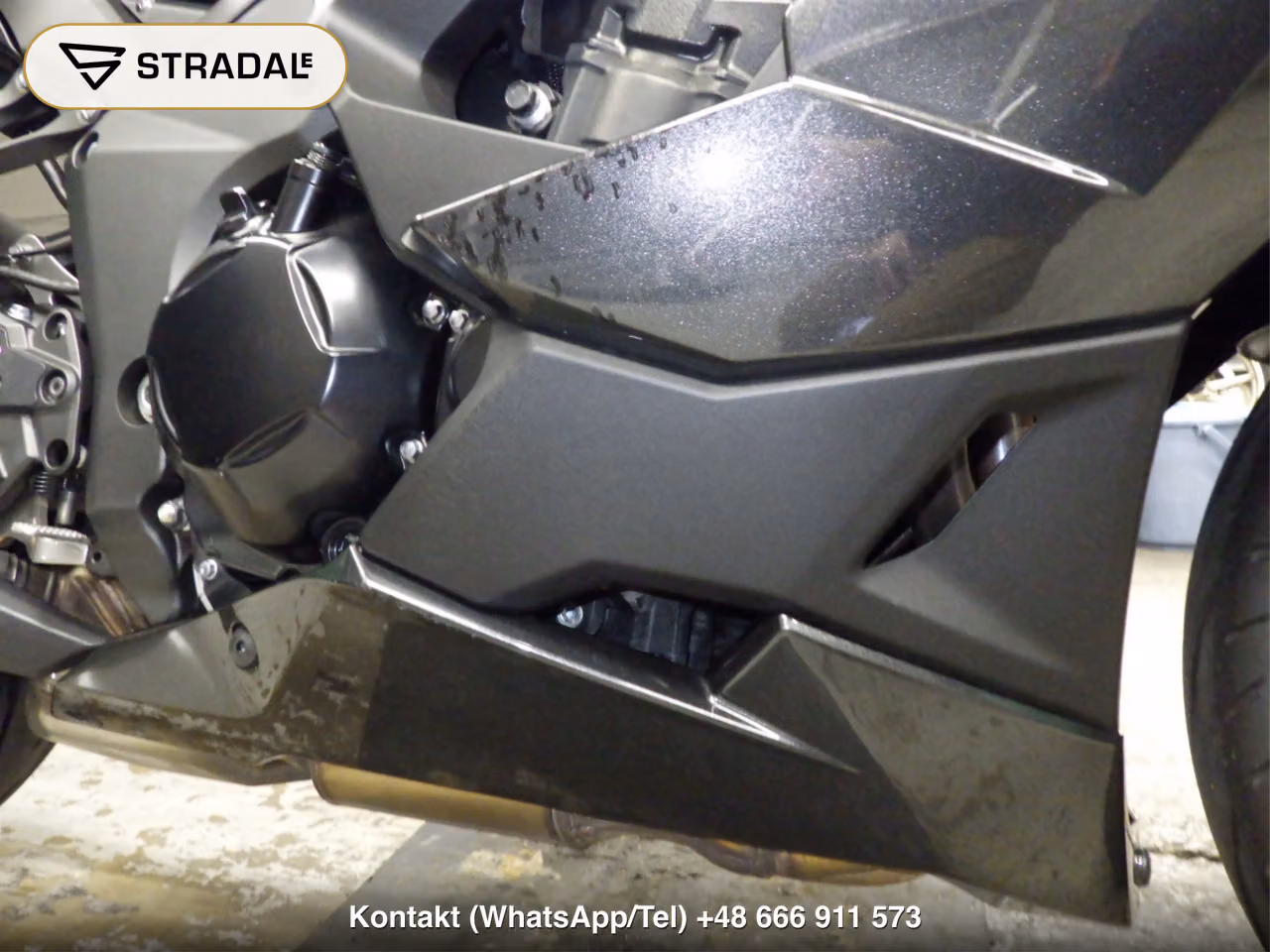 KAWASAKI NINJA1100SX, miniaturka 10