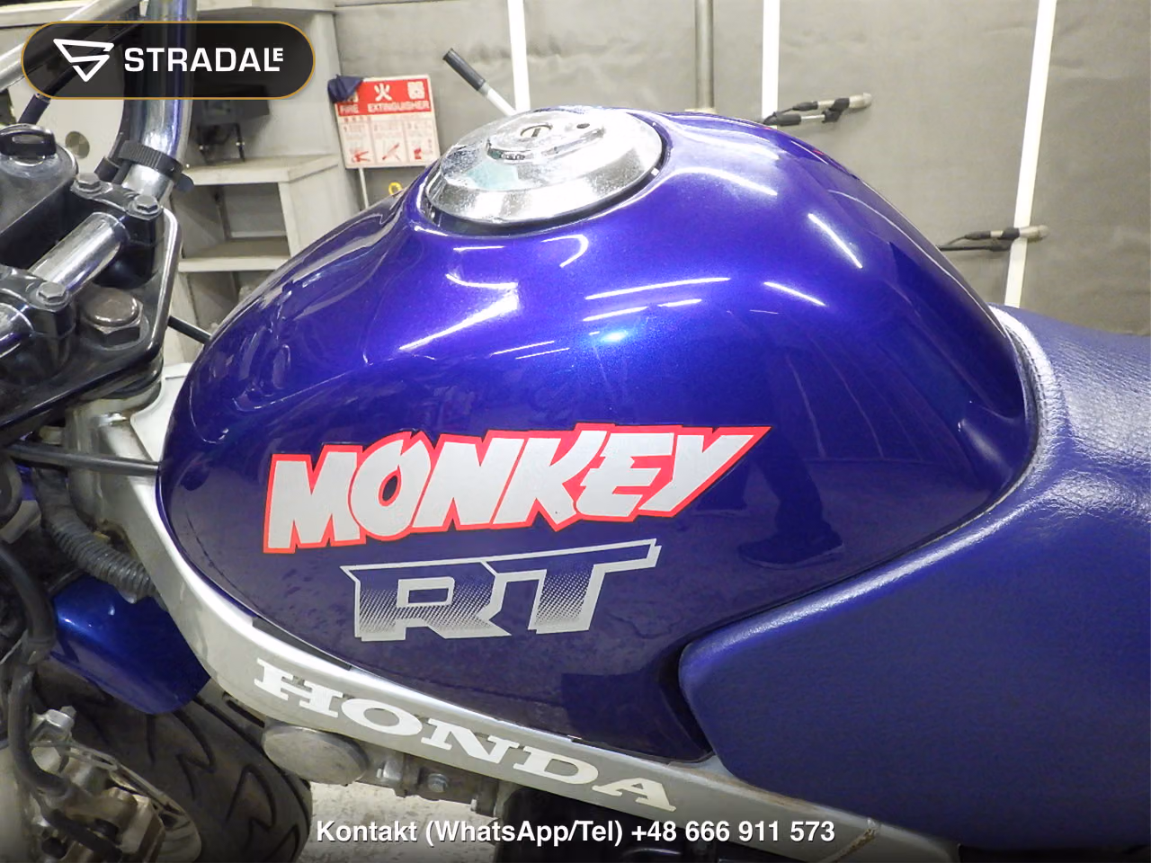 HONDA ﾓﾝｷｰRT, miniaturka 12