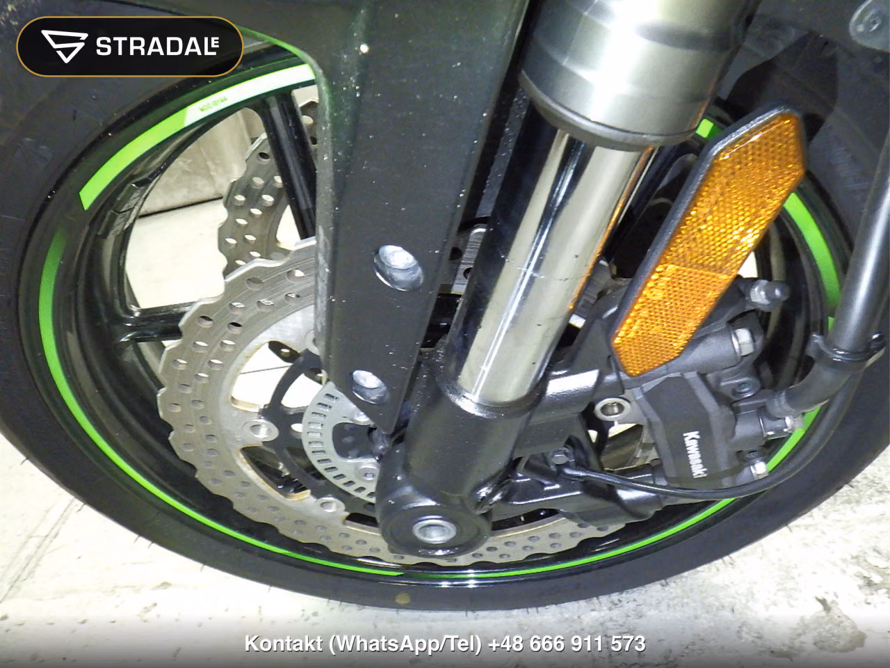 KAWASAKI ﾍﾞﾙｼｽ1000SE, miniaturka 7
