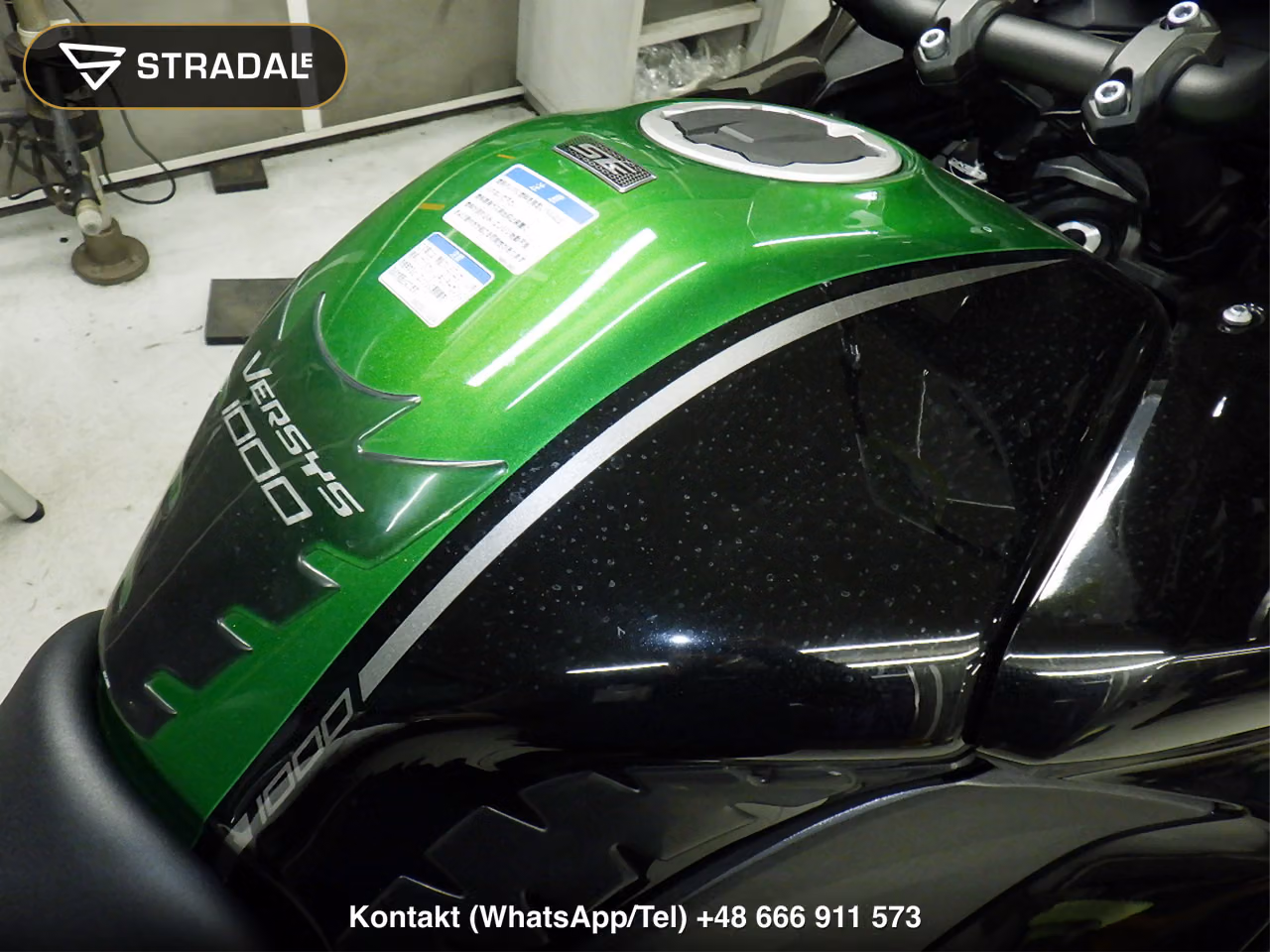 KAWASAKI ﾍﾞﾙｼｽ1000SE, miniaturka 10