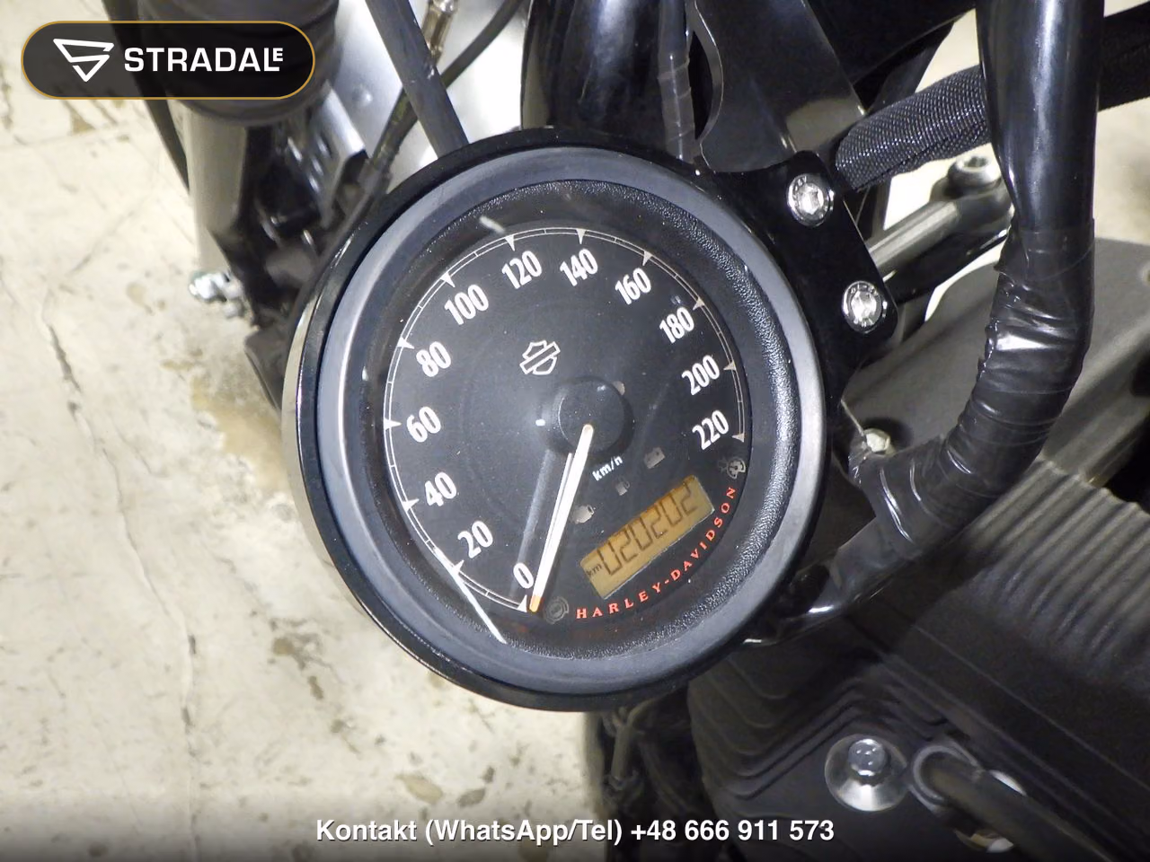 HARLEY-DAVIDSON XL1200NS, miniaturka 2