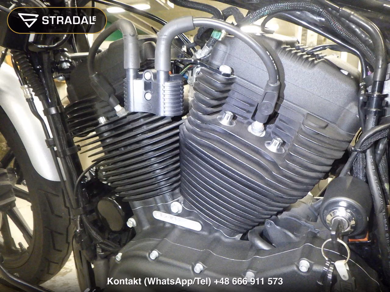HARLEY-DAVIDSON XL1200NS, miniaturka 5