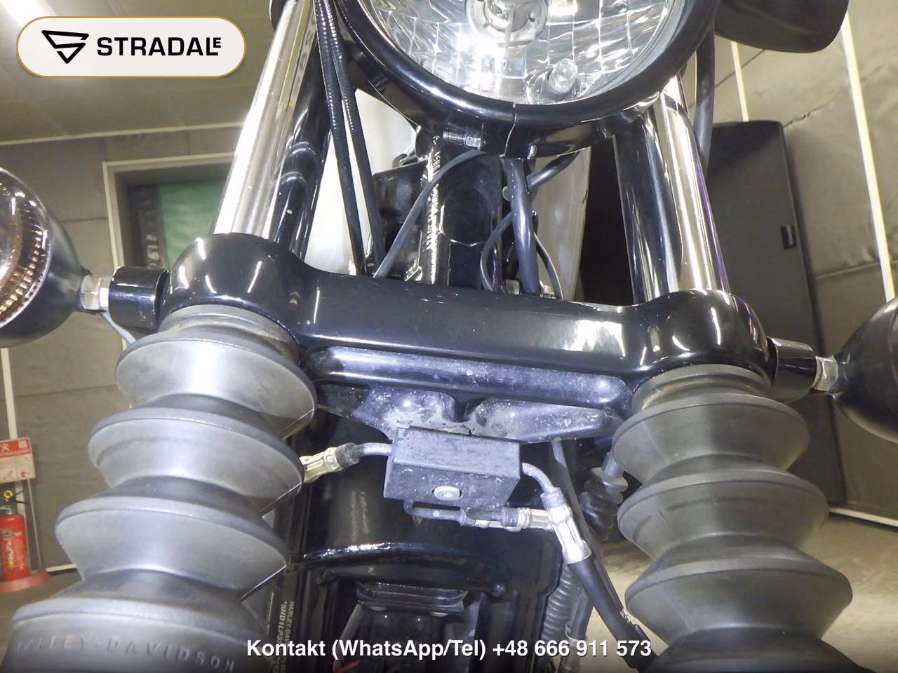 HARLEY-DAVIDSON XL1200NS, miniaturka 8