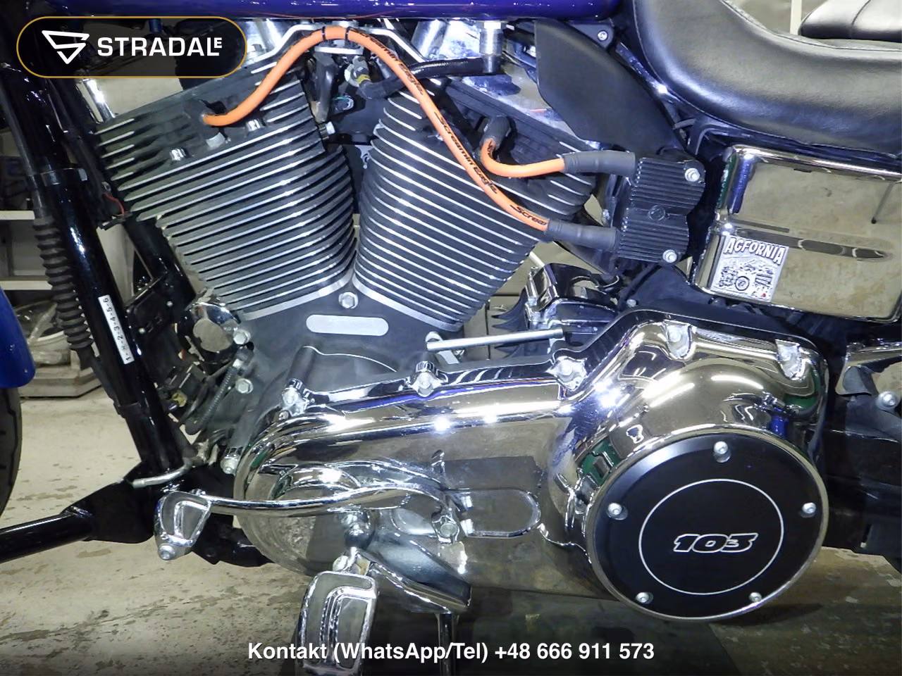 HARLEY-DAVIDSON FXDL1690, miniaturka 3