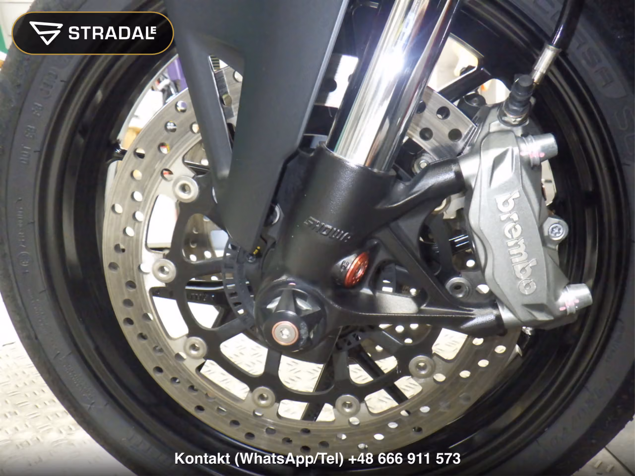 DUCATI ﾊﾟﾆｶﾞｰﾚV2, miniaturka 6