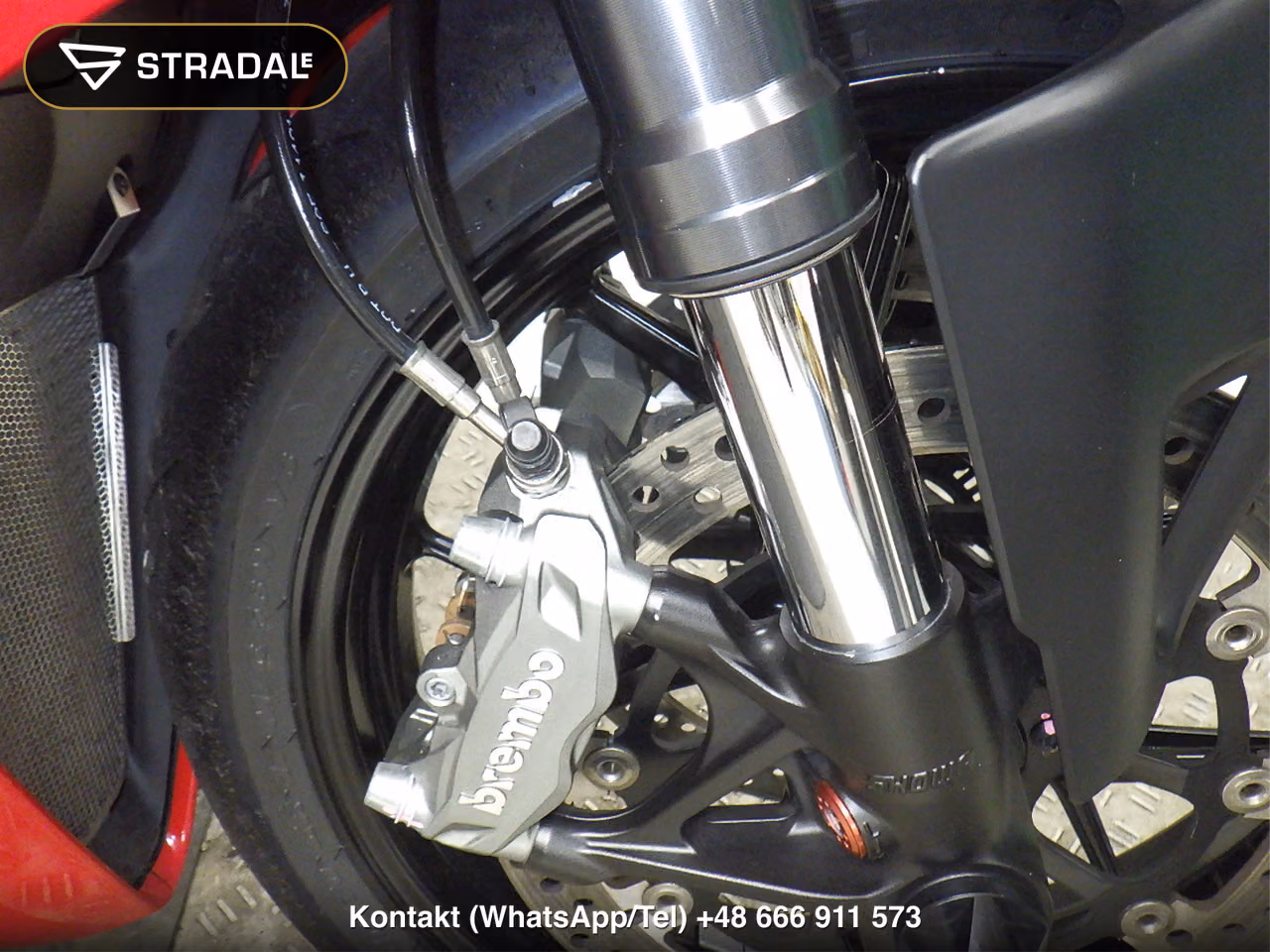 DUCATI ﾊﾟﾆｶﾞｰﾚV2, miniaturka 9