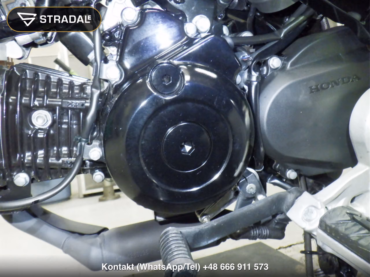 HONDA ｸﾞﾛﾑ-2, miniaturka 5