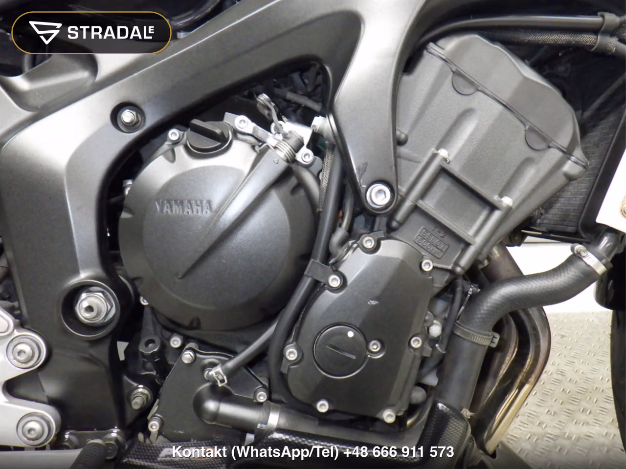 YAMAHA FZ6-S, miniaturka 3