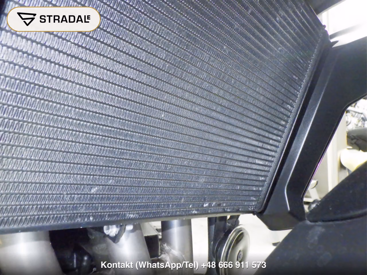 TRIUMPH ﾀｲｶﾞｰｽﾎﾟｰﾂ660, miniaturka 3