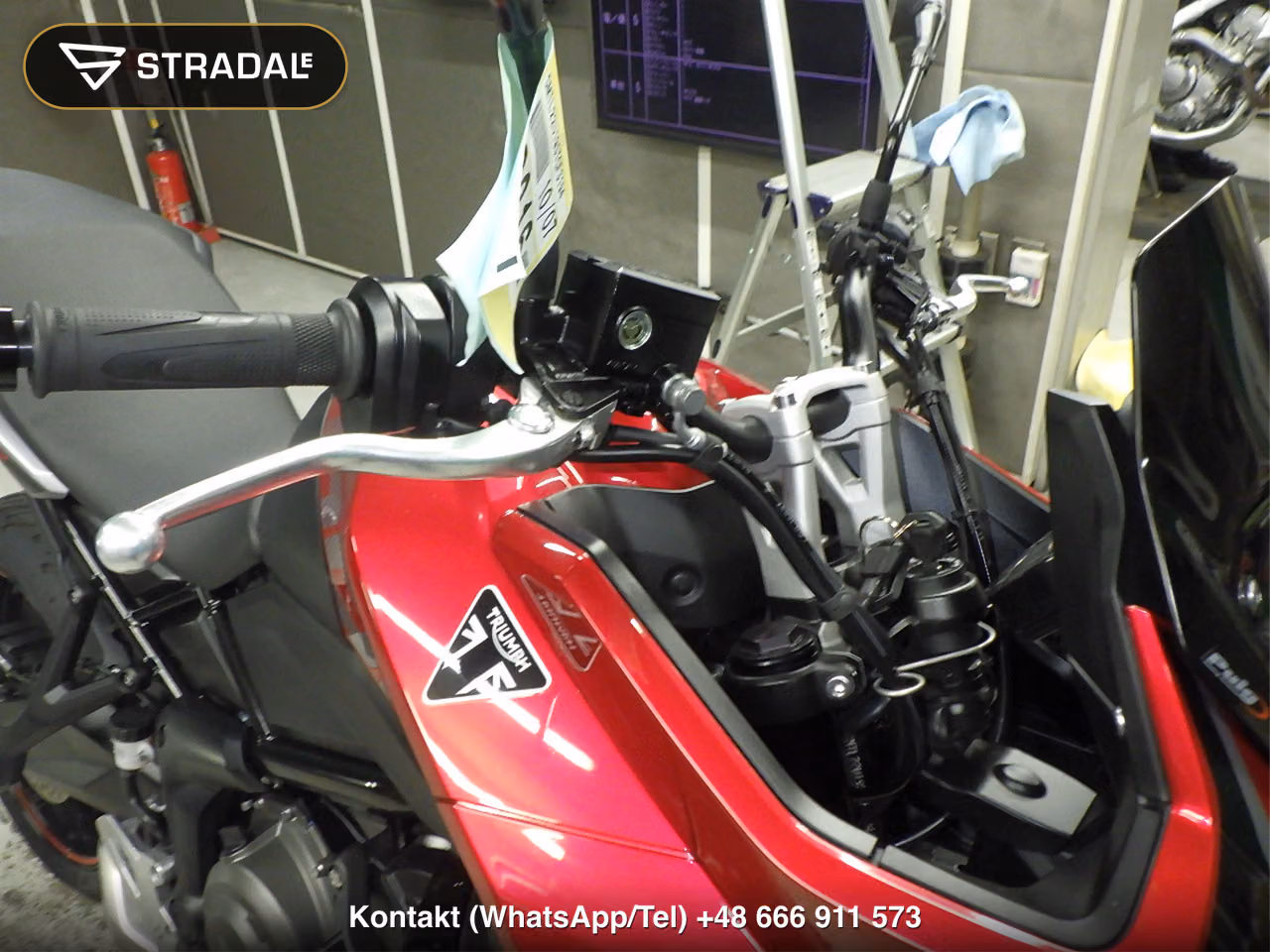 TRIUMPH ﾀｲｶﾞｰｽﾎﾟｰﾂ660, miniaturka 9