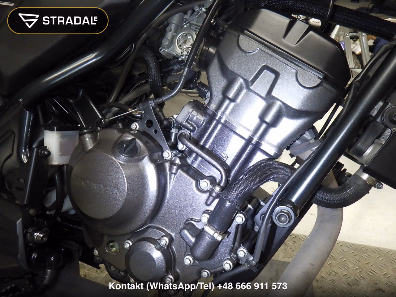 HONDA CL250-2, miniaturka 2