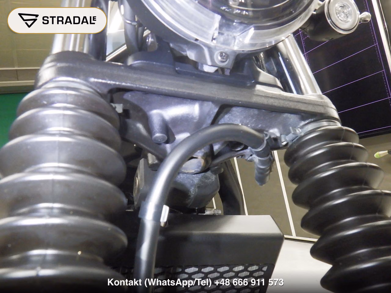 HONDA CL250-2, miniaturka 6