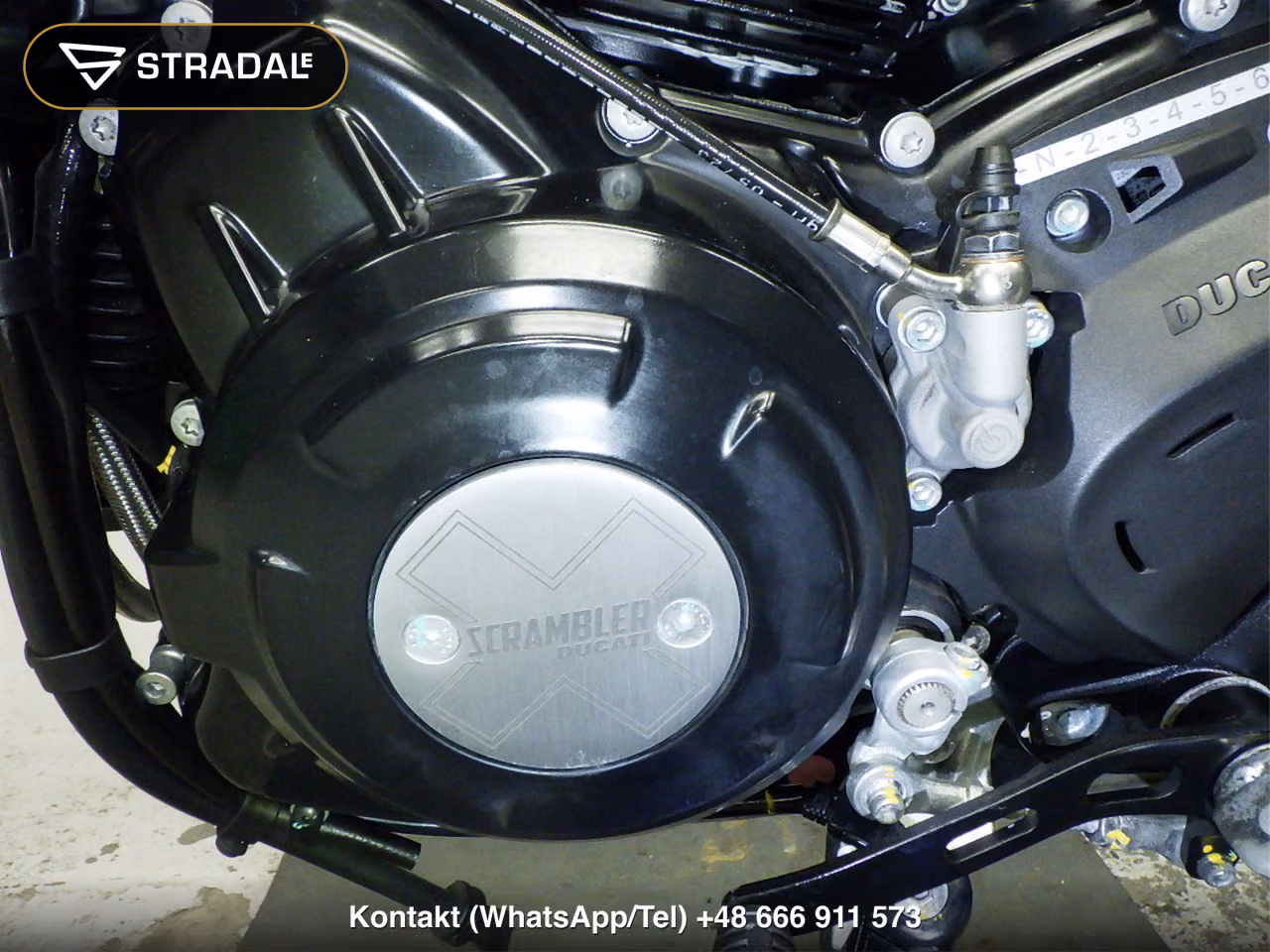 DUCATI ｽｸﾗﾝﾌﾞﾗｰﾅｲﾄｼﾌﾄ, miniaturka 5