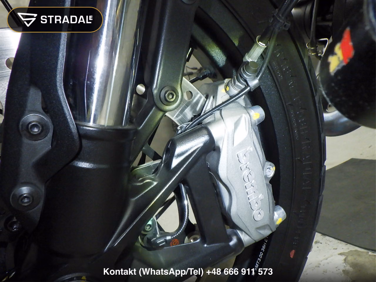 DUCATI ｽｸﾗﾝﾌﾞﾗｰﾅｲﾄｼﾌﾄ, miniaturka 9