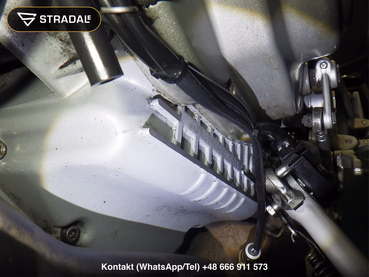 DUCATI MS4RSﾃｽﾀｽﾄﾚｯﾀ, miniaturka 5