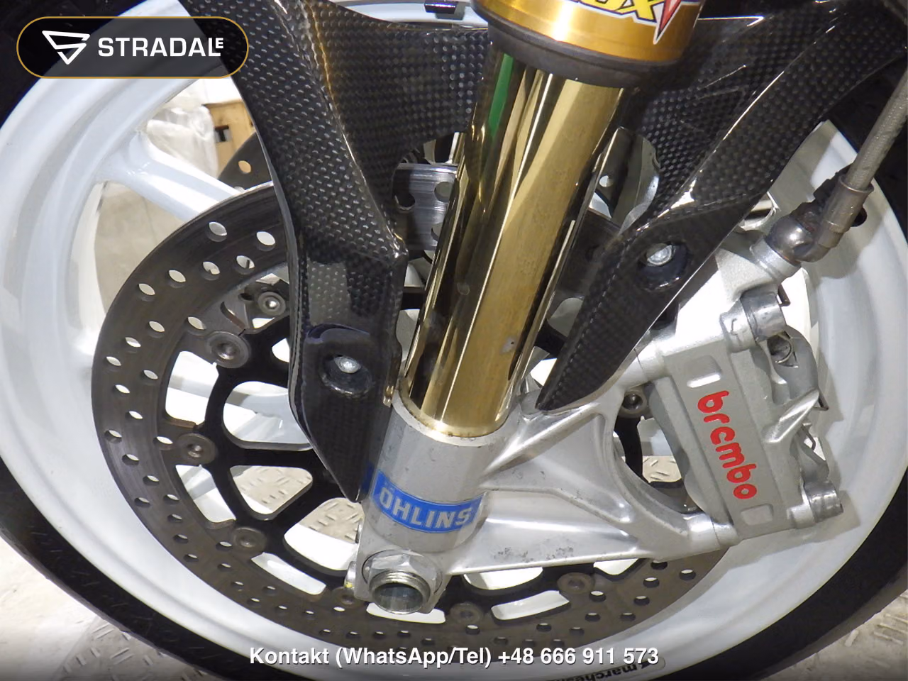 DUCATI MS4RSﾃｽﾀｽﾄﾚｯﾀ, miniaturka 8