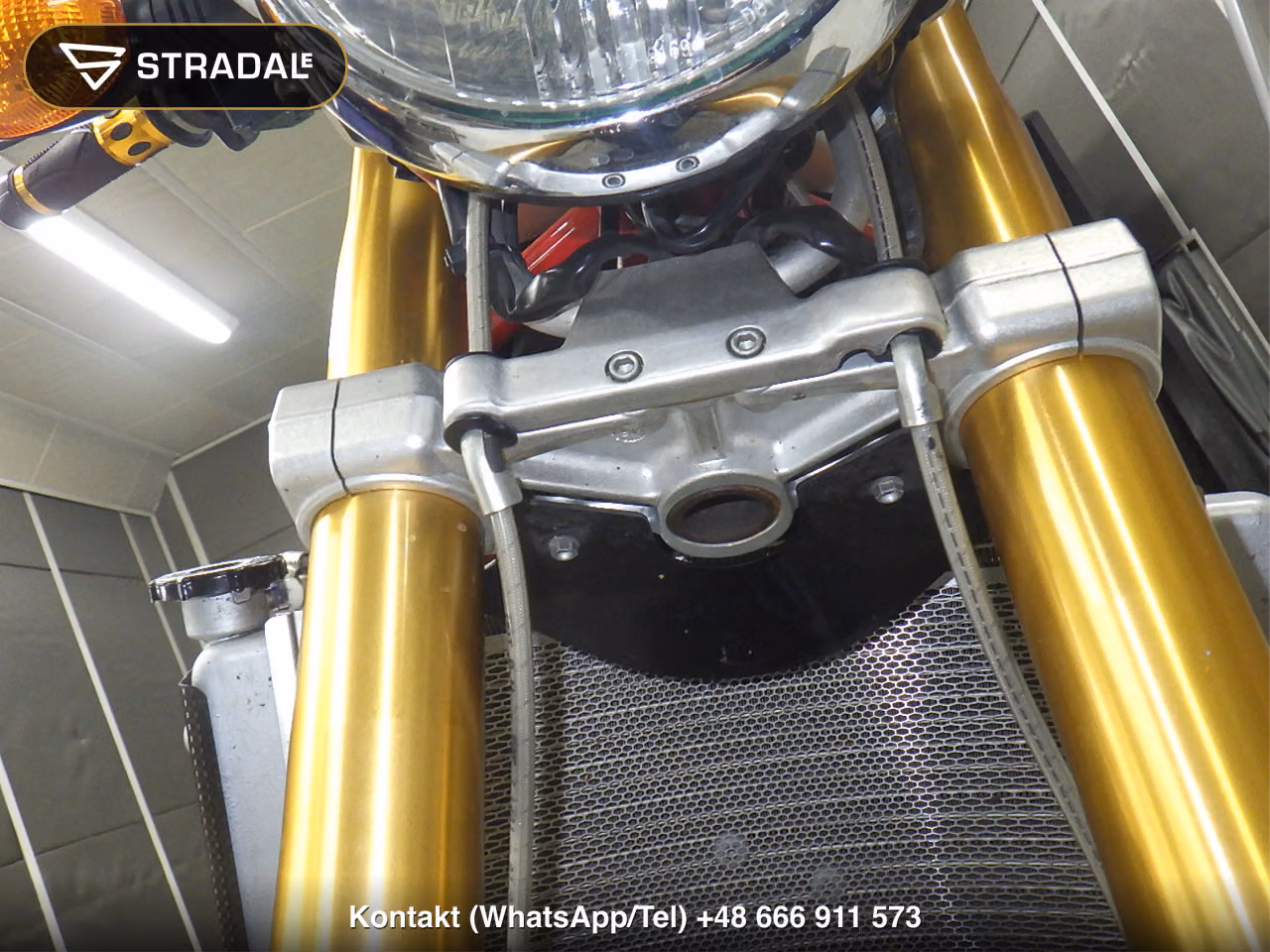 DUCATI MS4RSﾃｽﾀｽﾄﾚｯﾀ, miniaturka 9