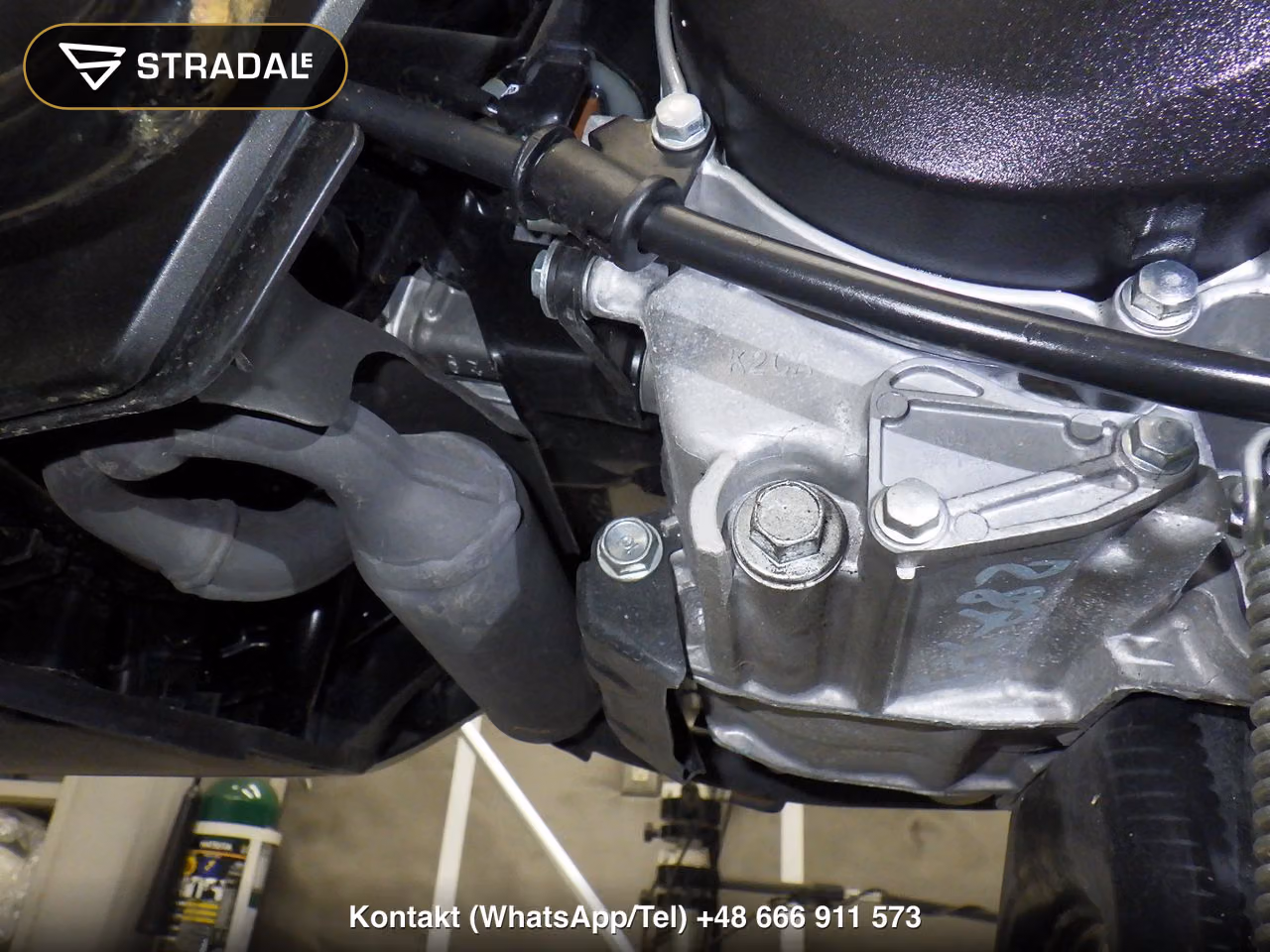 HONDA DIO110-3ﾍﾞｰｼｯｸ, miniaturka 2
