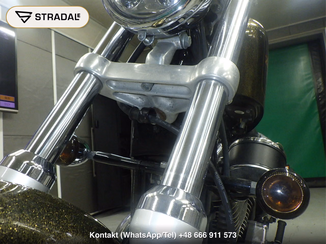 HARLEY-DAVIDSON XL1200V, miniaturka 8