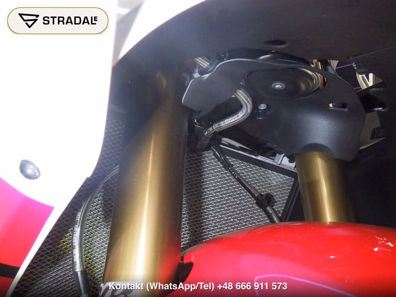 YAMAHA YZF-R9, miniaturka 7