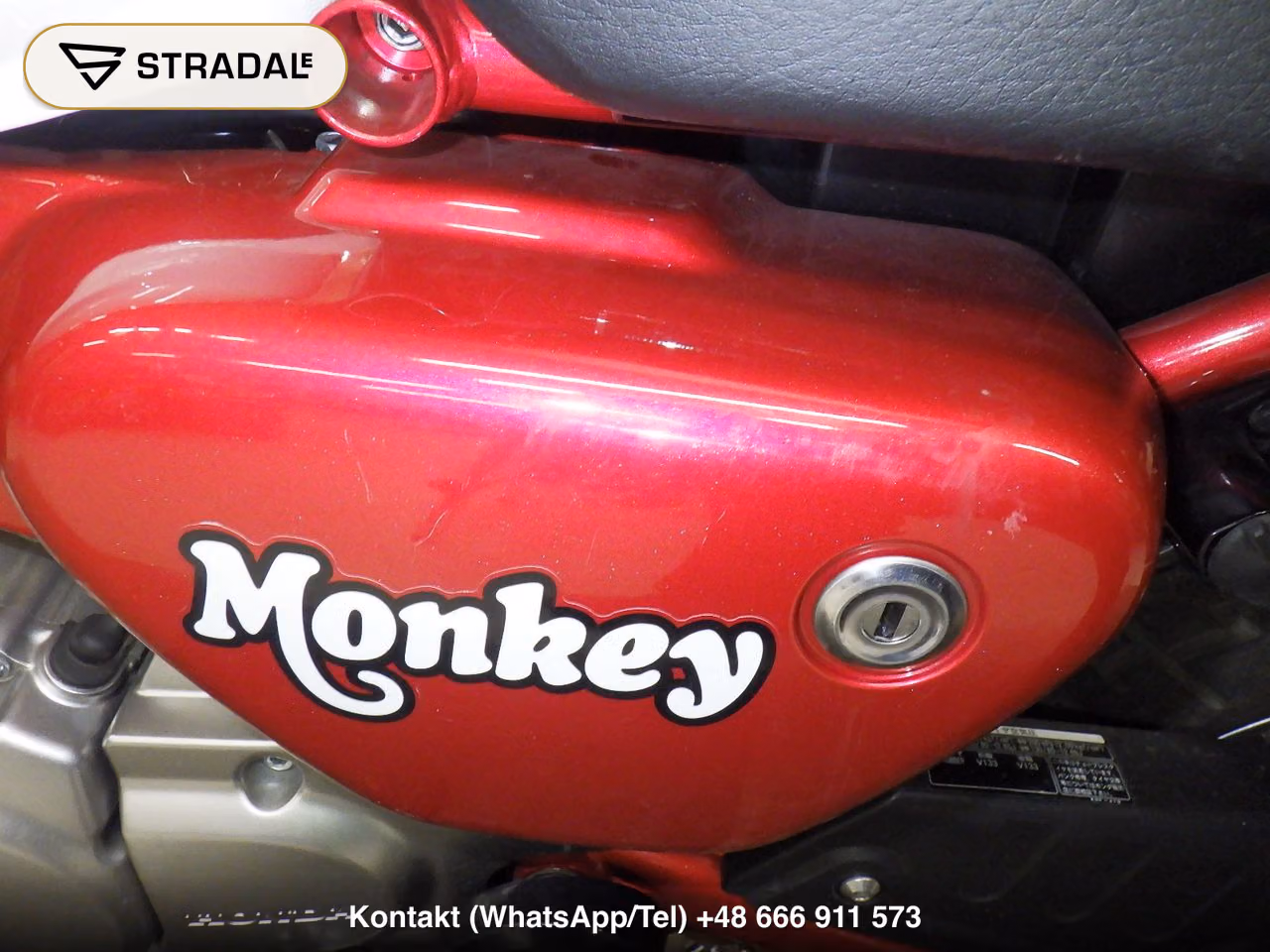 HONDA ﾓﾝｷｰ125A, miniaturka 11