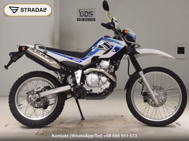 YAMAHA ｾﾛｰ250-3, aukcja z Japonii, zdjęcie 1