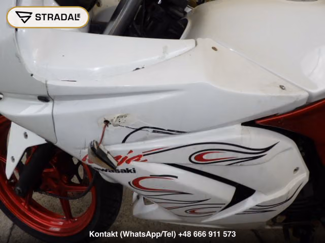 KAWASAKI NINJA250R, miniaturka 12