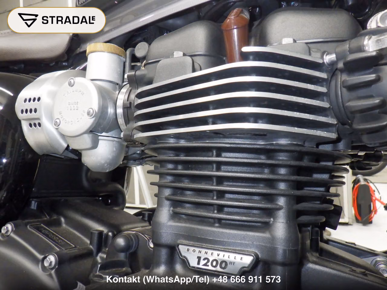 TRIUMPH ﾎﾞﾝﾈﾋﾞﾙT120, miniaturka 2