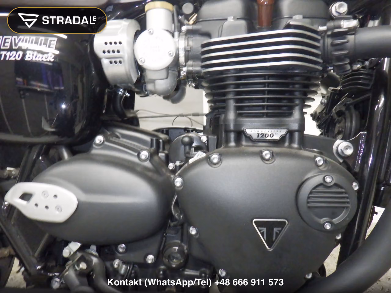 TRIUMPH ﾎﾞﾝﾈﾋﾞﾙT120, miniaturka 5