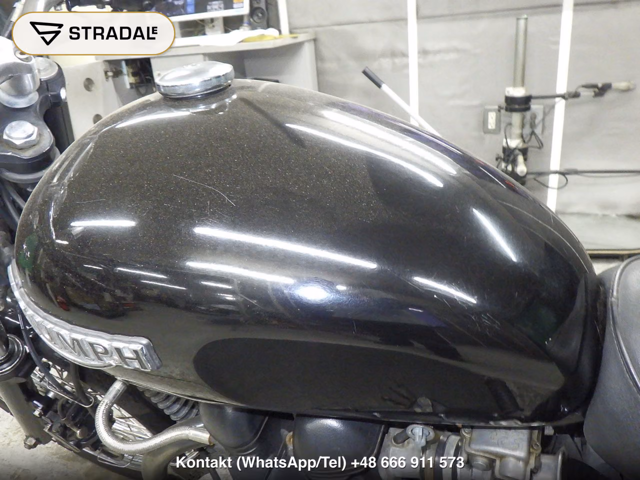 TRIUMPH ﾎﾞﾝﾈﾋﾞﾙ, miniaturka 12