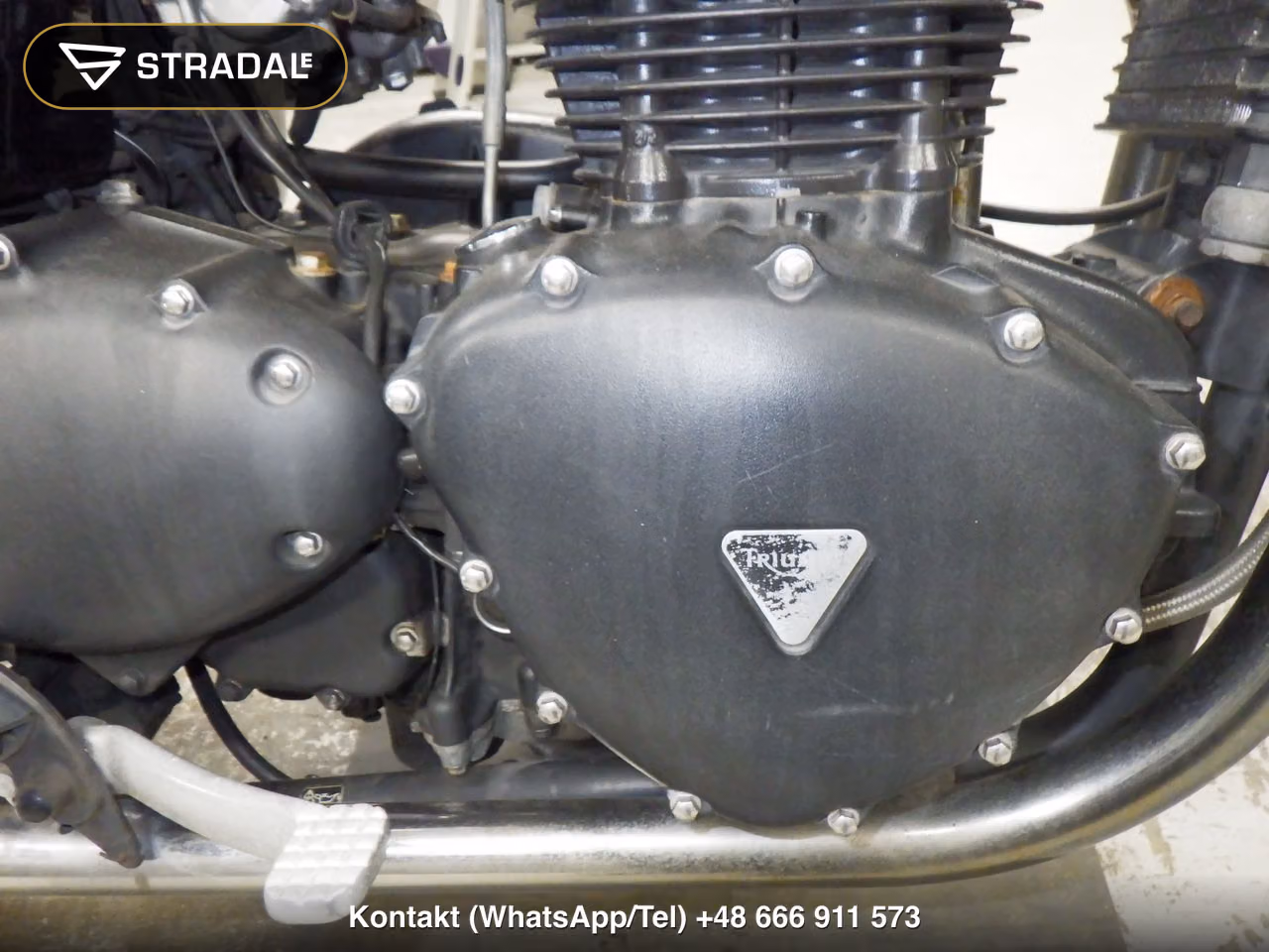 TRIUMPH ﾎﾞﾝﾈﾋﾞﾙ, miniaturka 3