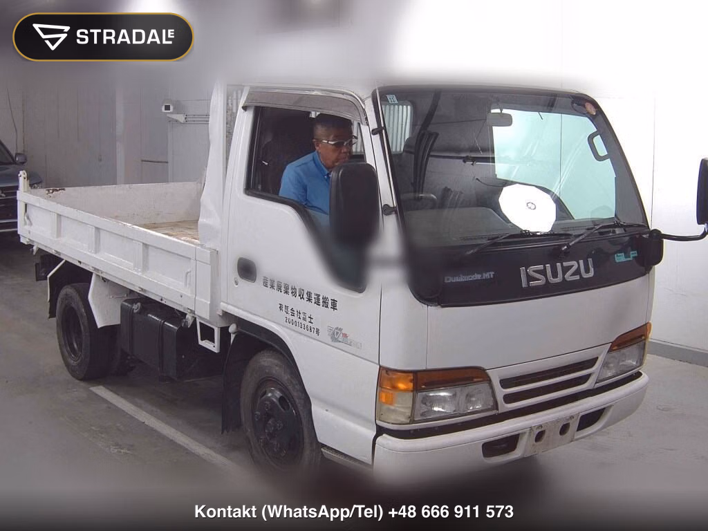 ISUZU ELF TRUCK 2D DUMP 1995, aukcja z Japonii, zdjęcie 1