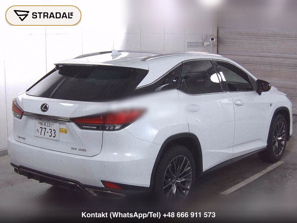 LEXUS RX RX300 F SPORT, miniaturka 6