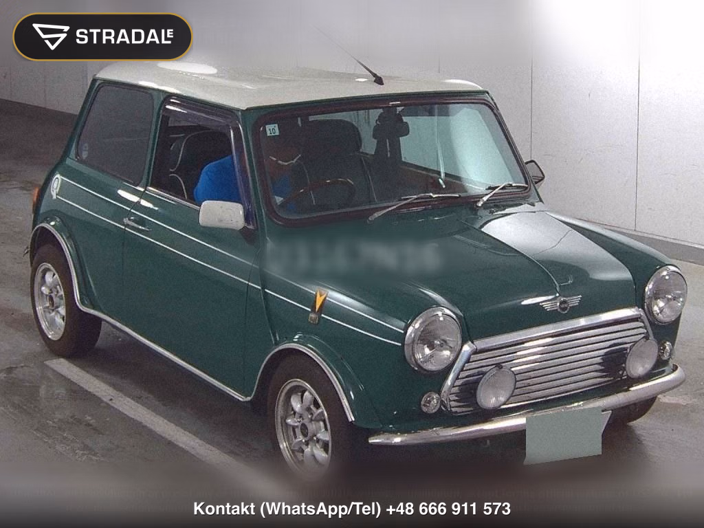 ROVER MINI 2D, miniaturka 2