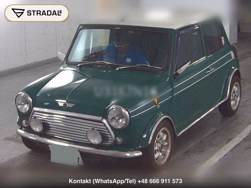 ROVER MINI 2D, miniaturka 5
