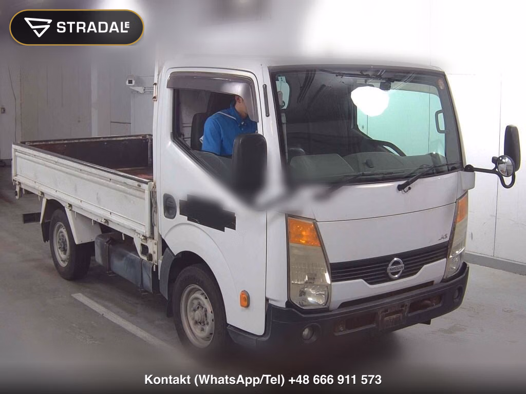 NISSAN ATLAS TRUCK 2D OTHERS 2010, aukcja z Japonii, zdjęcie 1