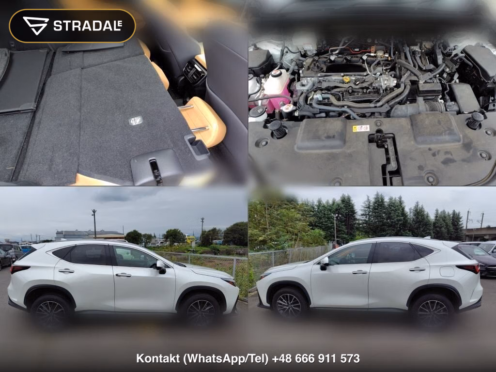 LEXUS NX NX350H, miniaturka 7