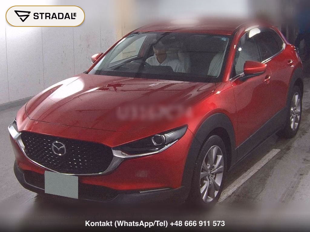 MAZDA CX-30 XD L PACKAGE, miniaturka 5
