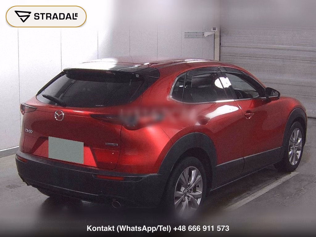 MAZDA CX-30 XD L PACKAGE, miniaturka 6