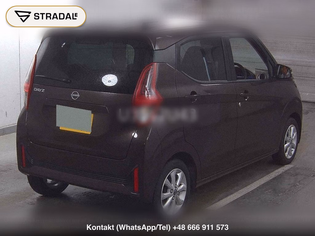 NISSAN DAYZ X, miniaturka 6