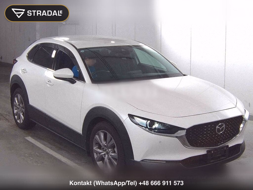 MAZDA CX-30 4WD 20S PROACTIVE, miniaturka 2