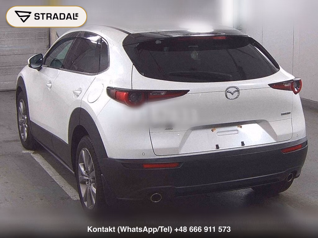 MAZDA CX-30 4WD 20S PROACTIVE, miniaturka 3