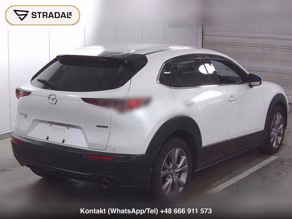 MAZDA CX-30 4WD 20S PROACTIVE, miniaturka 6